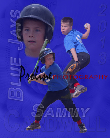 Sammy poster 1